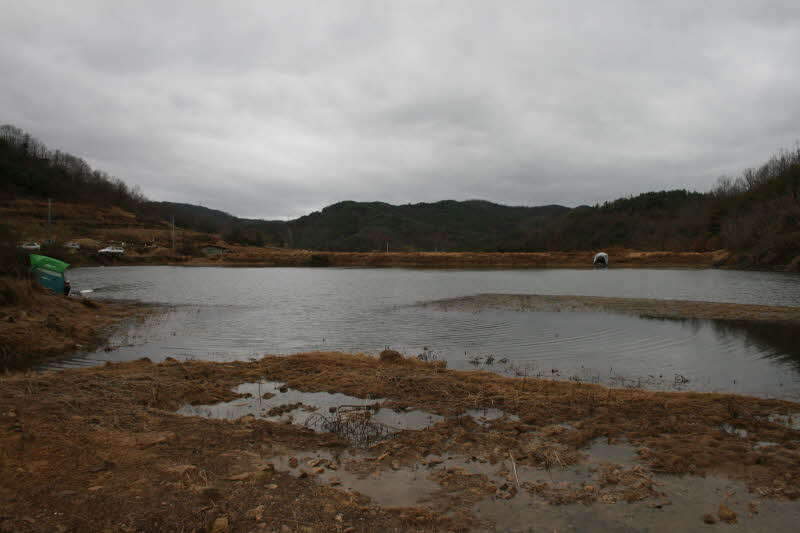 2009년3월21일 의성 자포골못-023