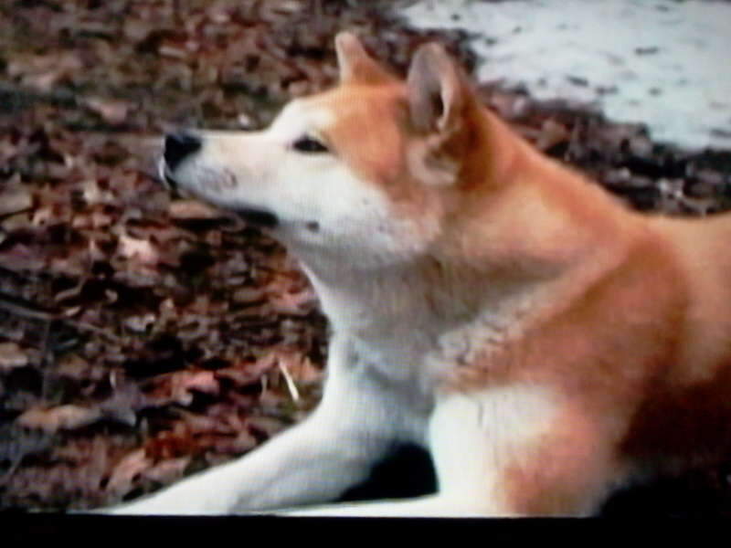 2011-01-30 09_johwang04024545.jpg