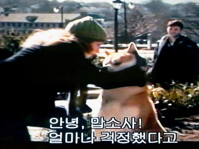 2011-01-30 09_johwang04033263.jpg