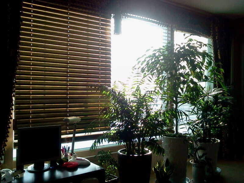 2011-01-30 09_johwang04043395.jpg