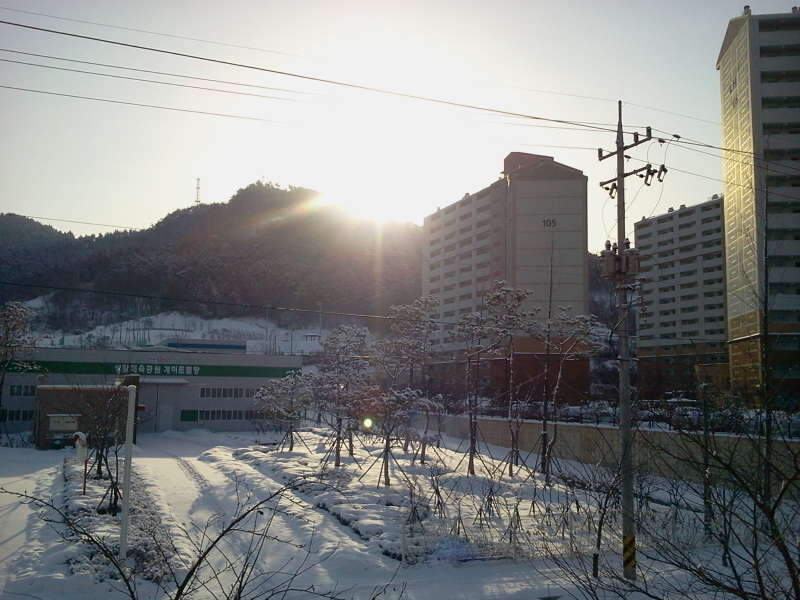 2011-01-30 09_johwang04051966.jpg