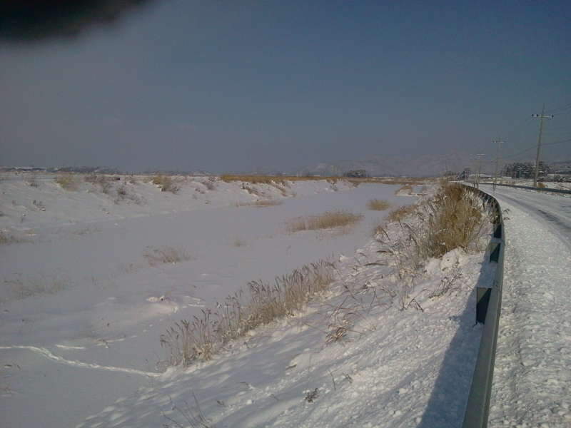 2011-01-30 10_johwang04060494.jpg