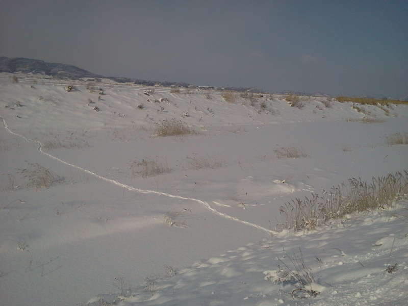 2011-01-30 10_johwang04063217.jpg