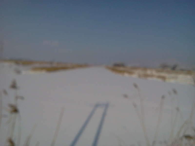 2011-01-30 10_johwang0407006.jpg