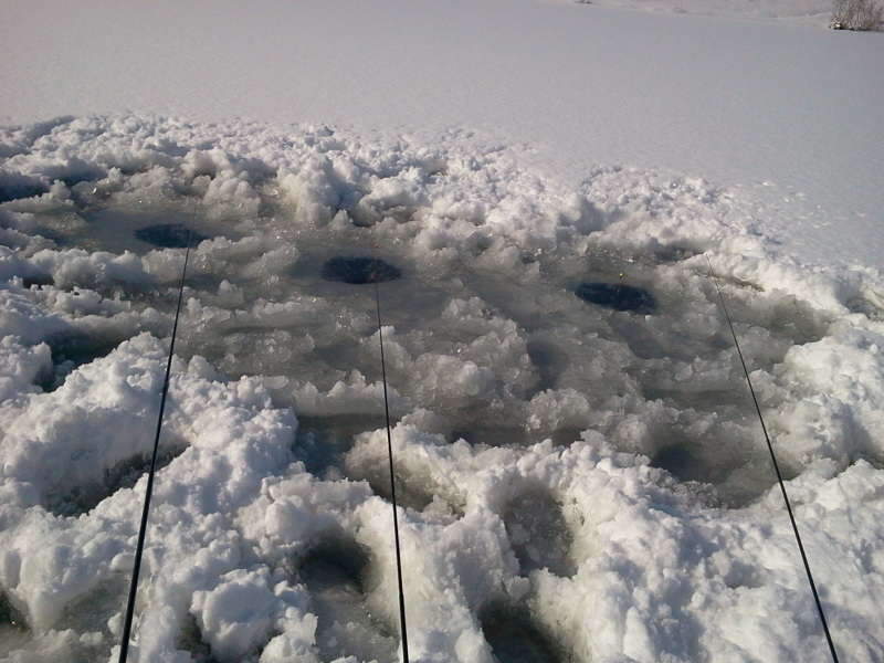 2011-01-30 10_johwang0407237.jpg