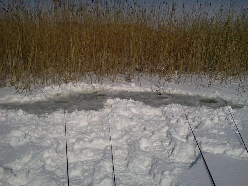 2011-01-30 12_johwang06280483.jpg