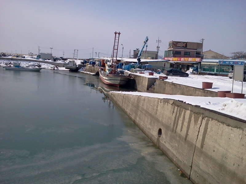 2011-01-30 13_johwang04080832.jpg