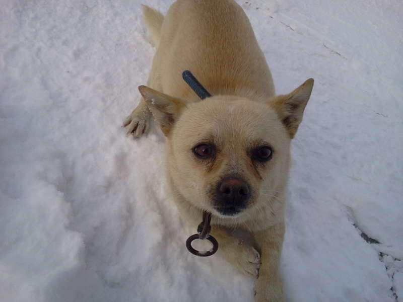 2011-01-30 15_johwang05385328.jpg