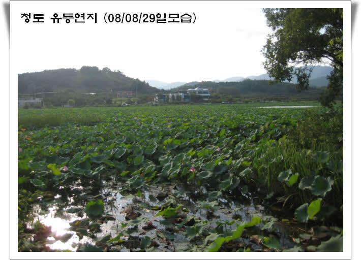 6청도1박전경_johwang0238095.jpg
