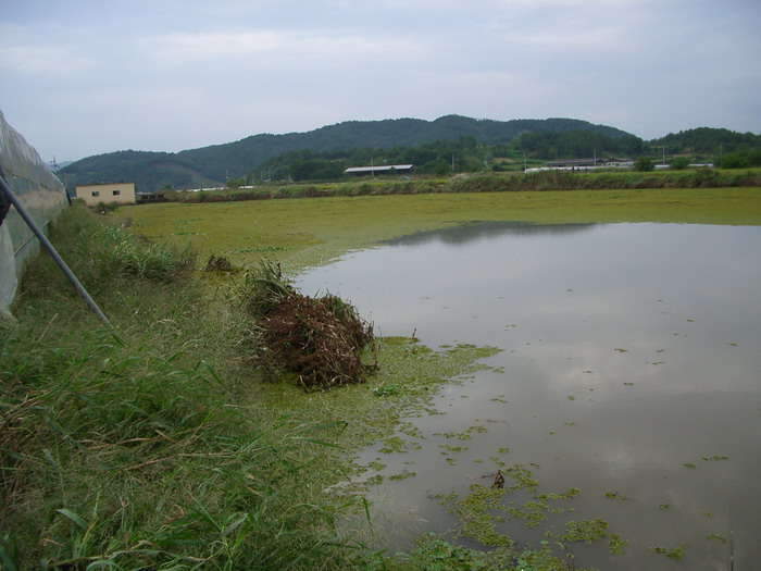 IMGP본늪_johwang0118482.jpg