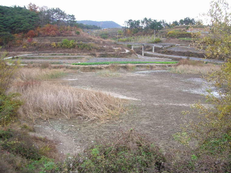 IMGP봉당지 상류_johwang02210668.jpg