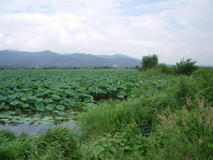 IMGP연지우측_johwang08583596.jpg