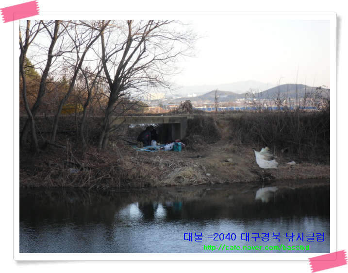 qnf낚시_johwang0447286.jpg