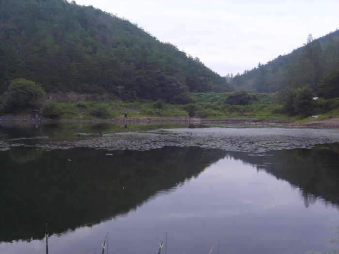 wdj1안태1_johwang11083339.jpg