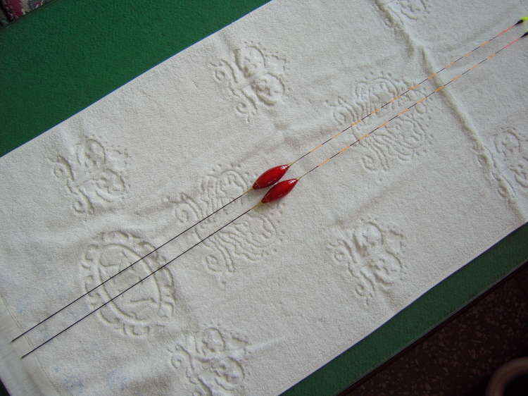 2006-01-13 13-19-03_jji12303355.jpg
