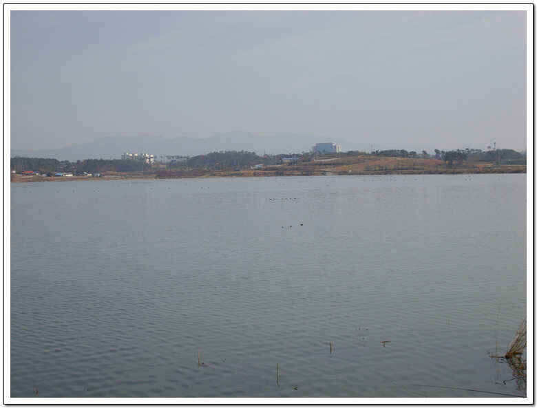 ss 003_jum_johwang07222836.jpg