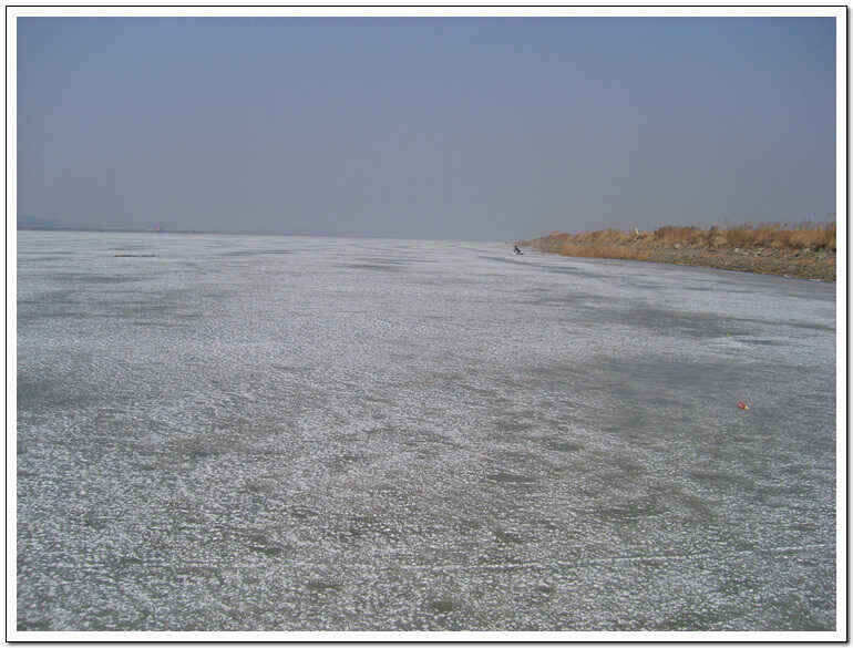 ss 005_jum_johwang02473431.jpg