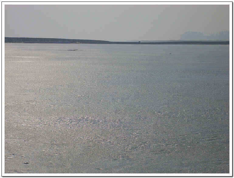 ss 007_jum_johwang02481715.jpg