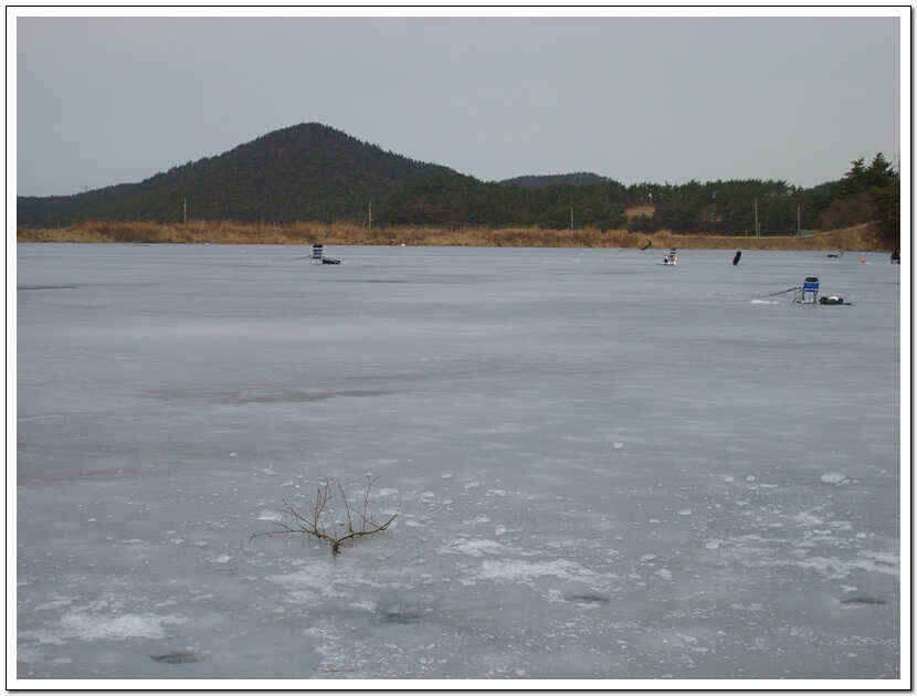 ss 007_jum_johwang07270379.jpg