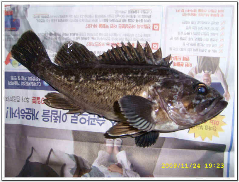 ss 009_jum_johwang04353768.jpg