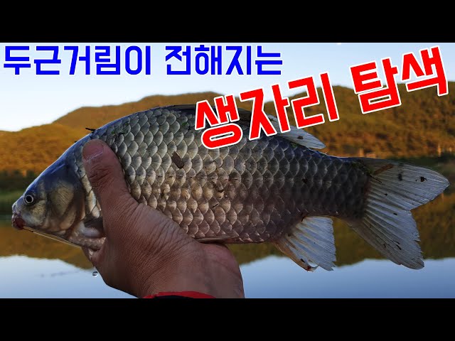 커뮤니티 > 낚시동영상 > 두근거림이 전해지는 생자리탐색