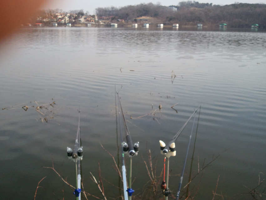 2011-03-05 12_paypic09394418.jpg