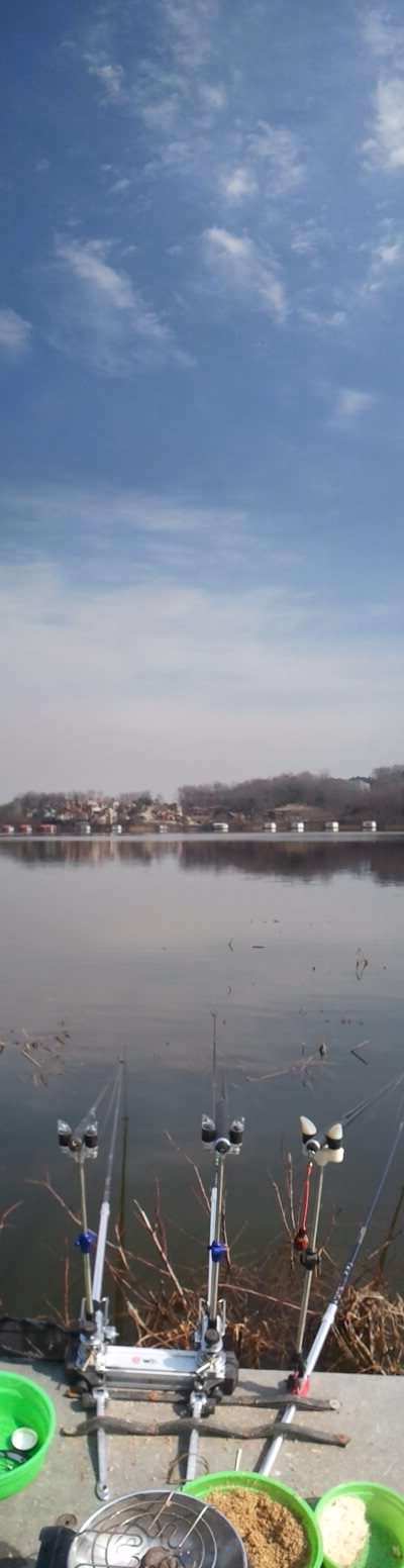 2011-03-05 12_paypic09401234.jpg