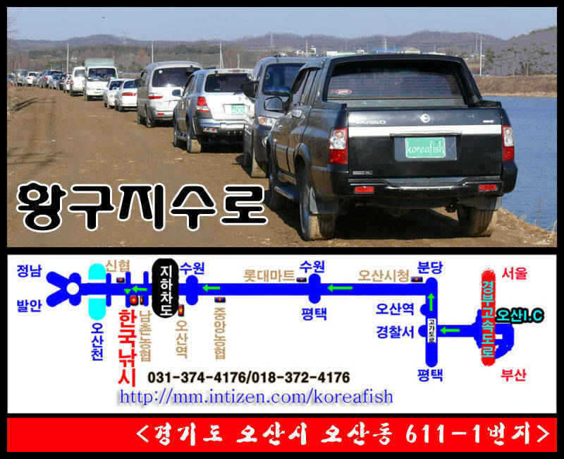 [hg]koreafish-1_pro_johwang01365087.jpg