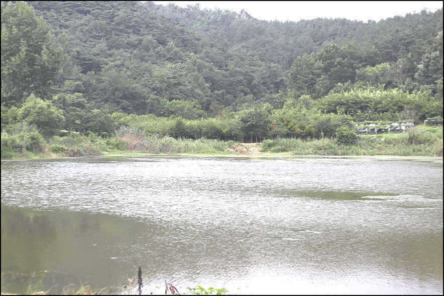 0622 022_pro_johwang01374270.jpg