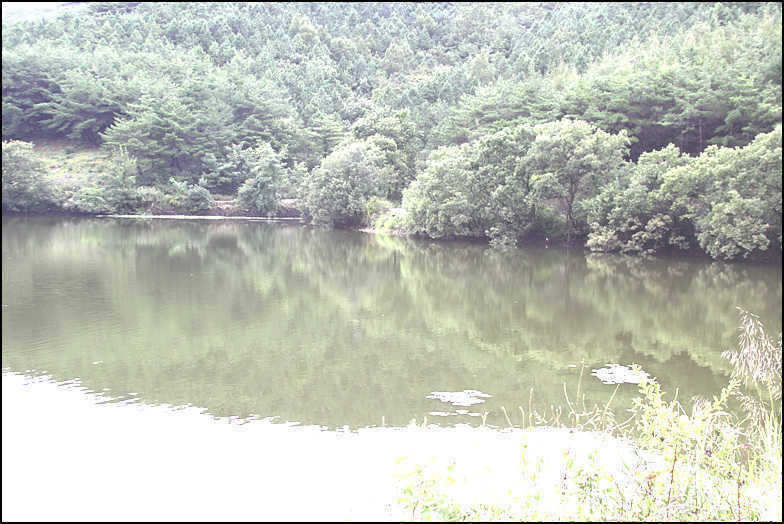 0622 022_pro_johwang08193937.jpg