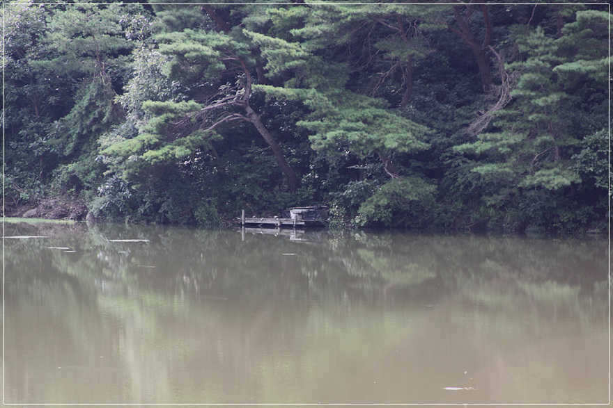 0622 031_pro_johwang01442438.jpg