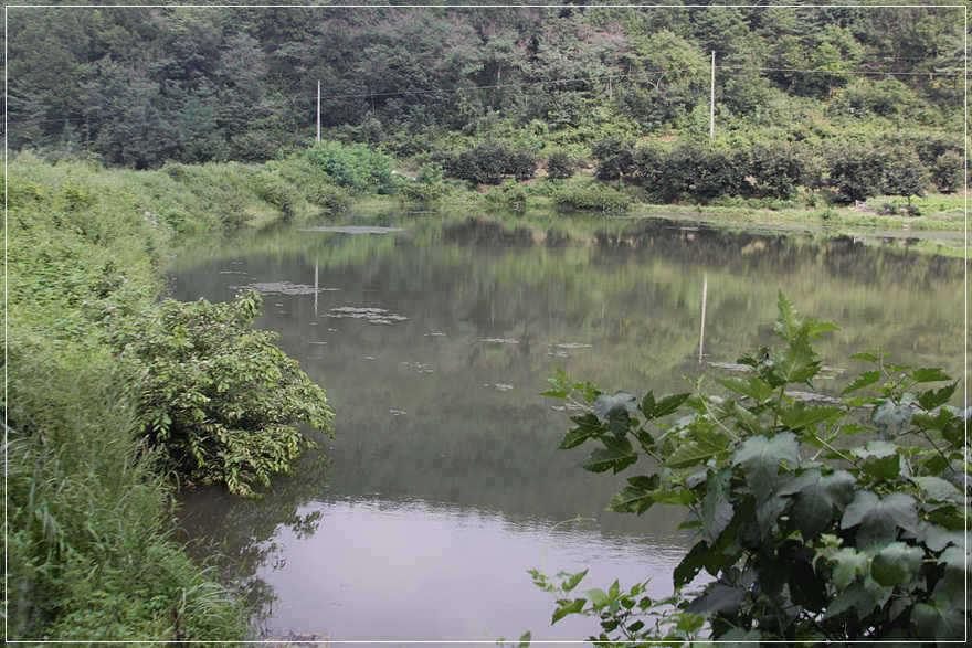 0622 038_pro_johwang01463672.jpg