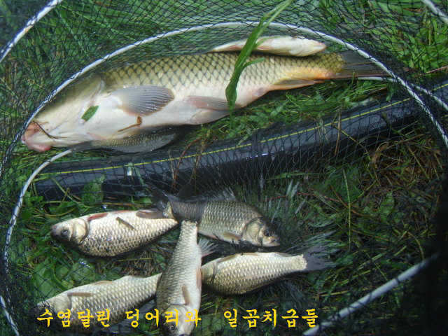 07310730 080_pro_johwang02422571.jpg
