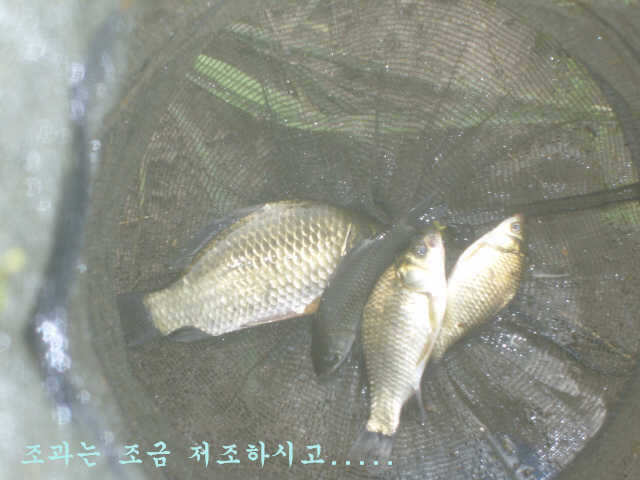 07310731 024_pro_johwang02405663.jpg