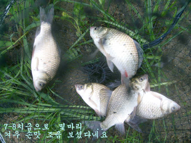 07310731 030_pro_johwang02410892.jpg