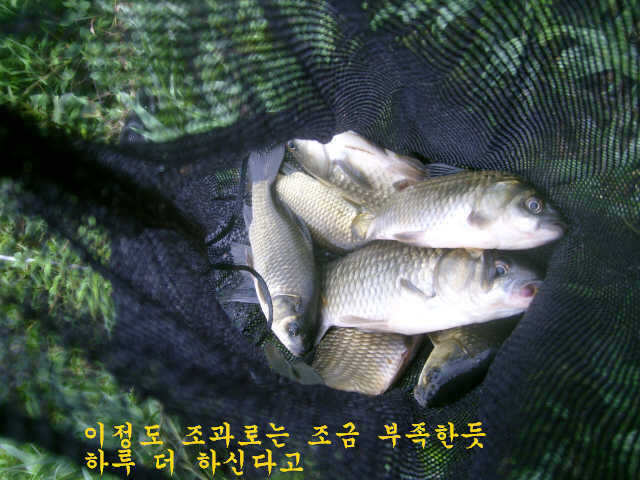07310731 048_pro_johwang02415531.jpg
