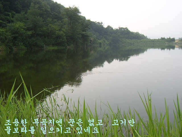 08200730 017_pro_johwang01533968.jpg