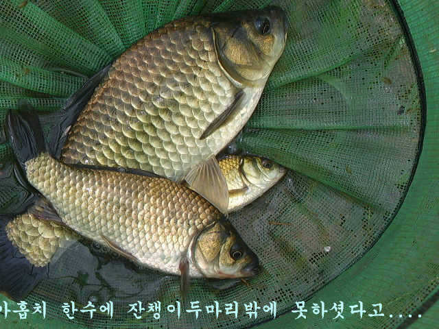 08200730 037_pro_johwang01533316.jpg