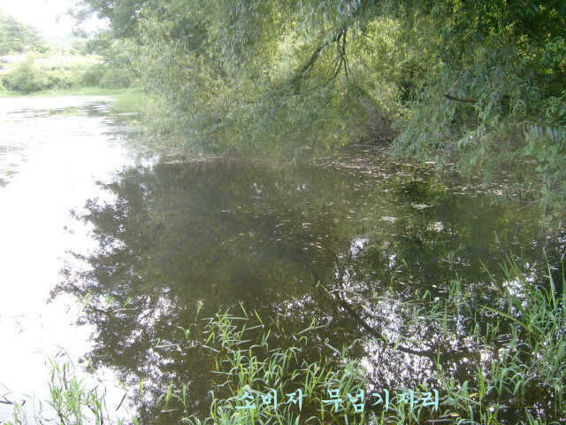 08200828 011_pro_johwang01514097.jpg