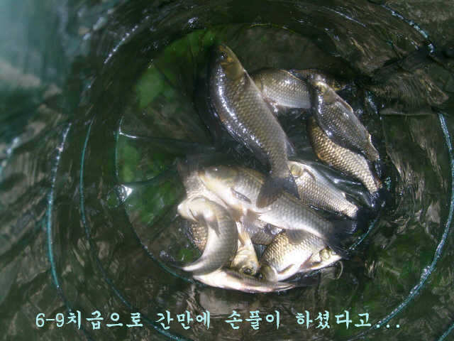 08200828 017_pro_johwang01505344.jpg