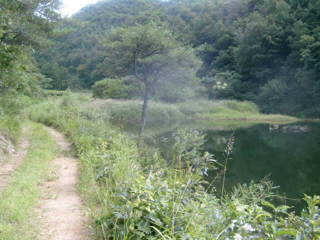 0918-10918 011_pro_johwang0838256.jpg