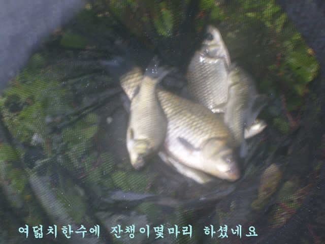 09180918 051_pro_johwang08323346.jpg