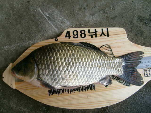 1002 114_pro_johwang0917014.jpg