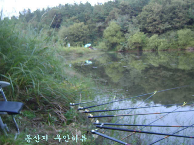 10071002 040_pro_johwang09150667.jpg
