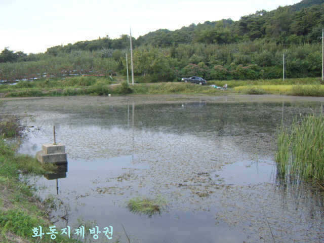 10071002 058_pro_johwang09122999.jpg