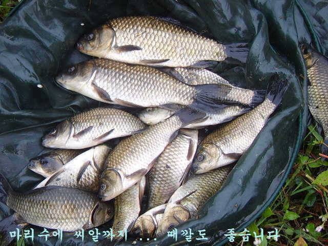 10071002 061_pro_johwang09124596.jpg