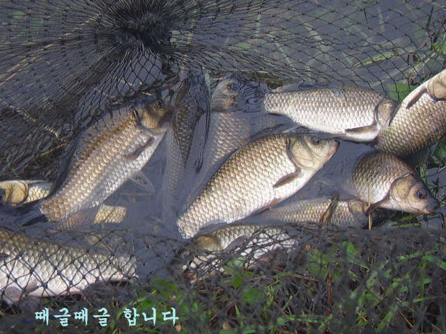 10071002 066_pro_johwang09130419.jpg