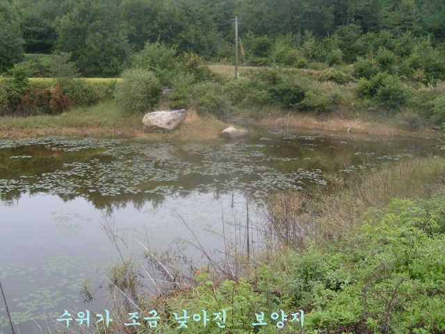 10071002 071_pro_johwang09151335.jpg