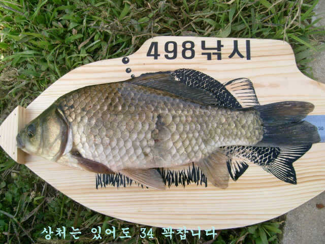 10071002 090_pro_johwang09144689.jpg