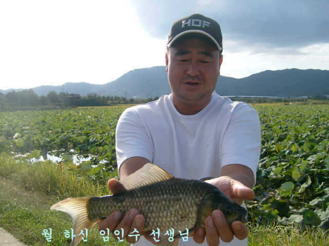 10071002 094_pro_johwang09143694.jpg